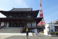 【東京マラソン15】増上寺、東京タワーを横に見ながら…コースをおさらい 画像
