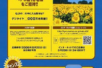 【プレゼント】ヨーロッパひまわり畑の旅…デジタイヤ 画像