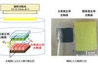 人工光合成で水から水素製造、変換効率2%で世界最高…NEDOなど 画像