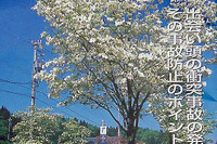 交通安全専門誌『シグナル』休刊へ 画像
