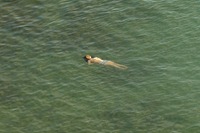 海にぷっかりと浮かぶ海水浴客だけを撮り下ろした異色写真集 画像