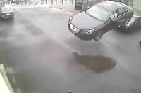 スバル レガシィ 新型、カナダで大事故…空を飛ぶ［動画］ 画像