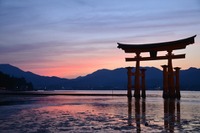 トヨタの施設も…外国人旅行者に人気の観光スポットBEST30 画像