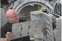 JAXA、宇宙放射線被ばく線量計測「Free-Space PADLES」実験を終了 画像
