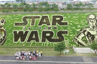 横幅150mのド迫力アート…『スター・ウォーズ』が田んぼに降臨 画像