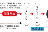 横浜ゴムと東工大、バイオマスを原料とした合成ゴムの新技術を開発 画像