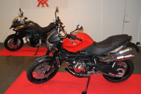 伊モトリーニ輸入開始…「イタリア製ハンドメイドバイク」を売りに 画像