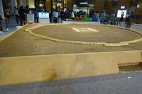 東京・丸の内の複合ビル内に土俵が完成…鳴戸親方も感動 画像