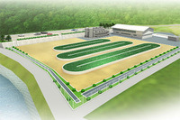 デンソー、微細藻類を使ったバイオ燃料の大規模実証設備を建設 画像