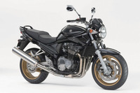 スズキ バンディット1200シリーズに特別仕様 画像
