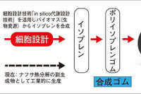 横浜ゴムなど、バイオマスを原料とした合成ゴムの新技術を開発 画像