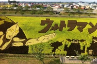 行ってよかった道の駅ランキング、田んぼアートで人気の道の駅が1位に 画像