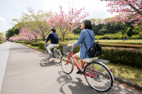東京海上日動、インターネットで手続きが完了する自転車保険を発売 画像