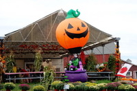 すっかり定着したハロウィーン…お化けの仮装に隠された本当の理由 画像