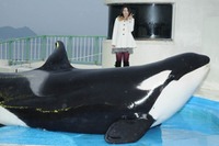 鴨川シーワールド、水族館の水槽前での“お泊りイベント”今年も開催 画像