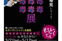 毒があるから美しい…「毒を持つ生き物」だけを集めた特別展が人気 画像