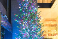 40年近く続いた銀座の風物詩、ミキモトのクリスマスツリー…今年で見納め 画像