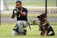 横田基地友好祭の隠れた人気アトラクション「K-9」 画像