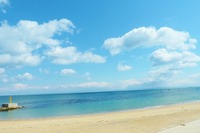 【夏休み】家族みんなが大満足できる関東圏の海水浴場4つ 画像