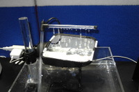 【エヌプラス15】超撥水性と高透明性を兼ね備えた高機能フィルムを初披露…綜研化学 画像
