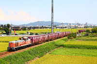 中越パルプ工業の貨物列車、「休止」で姿消す…トラック輸送に 画像