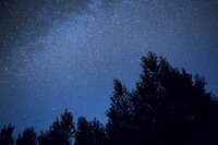 しし座流星群、11月18日がピーク…深夜から明け方に観測チャンス 画像