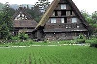 「環境のトヨタ」、今度は自然環境教育センター設置へ動く 画像