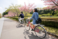 自転車事故の割合が高いのは中高生…事故率全国ワースト1位は群馬 画像