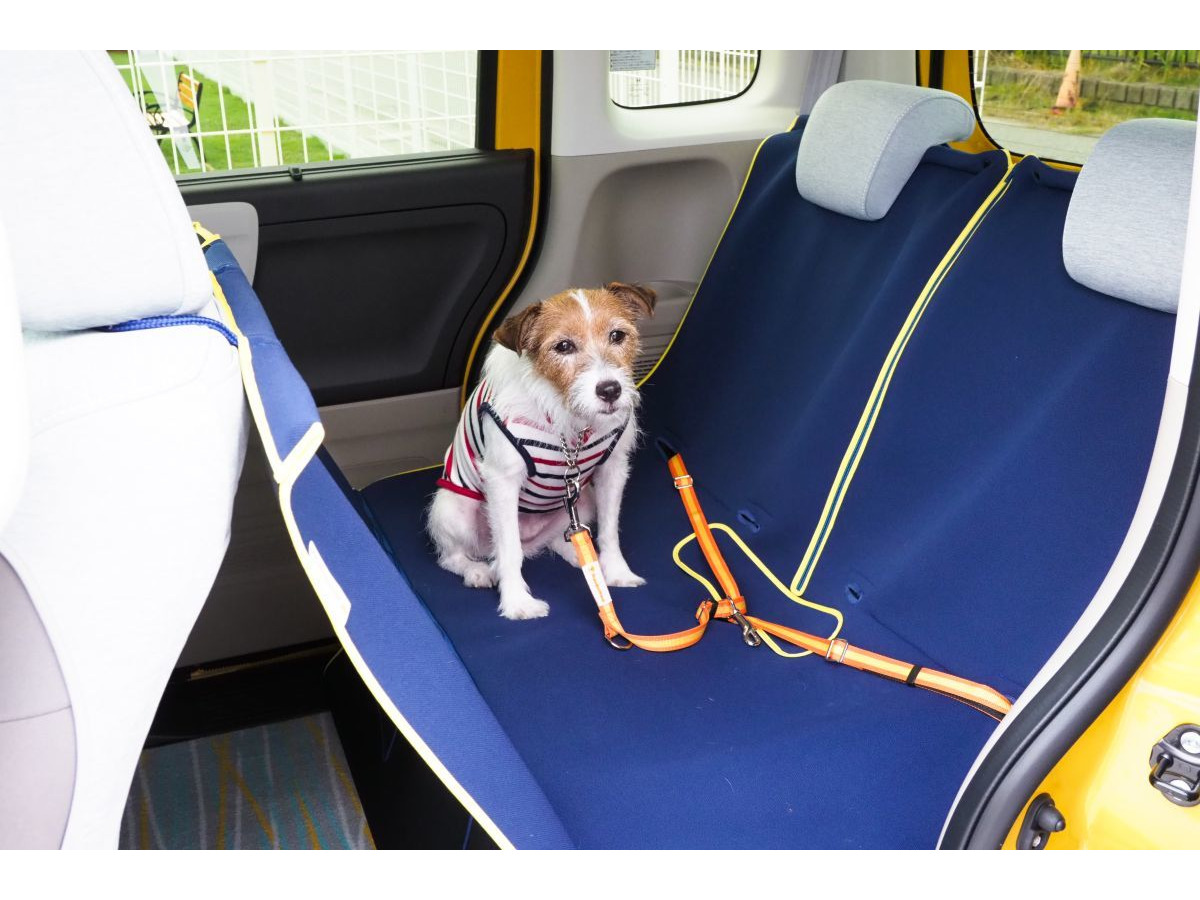 青山尚暉のわんダフルカーライフ 道路交通法違反にならないために 正しい愛犬の乗せ方 レスポンス Response Jp 青山尚暉のわんダフルカーライフ 道路交通法違反にならないために 正しい愛犬の乗せ方 レスポンス Response Jp