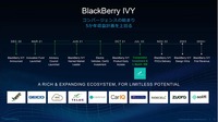 2021年3月に5000万ドルの投資基金「IVYイノベーションファンド」を設立
