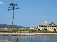 奇跡の一本松(宮城県気仙沼市)