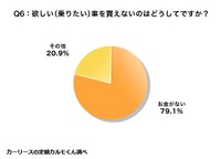 欲しい（乗りたい）車を買えない理由
