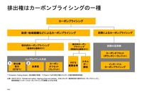 排出権はカーボンプライシングの一種（図1）