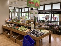 RVパークの例：RVパーク 道の駅ならは
