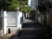 鎌倉市内の細い路地