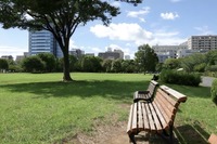 木場公園
