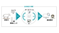 プロジェクトの概要