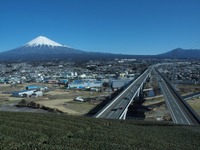 新東名
