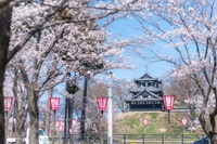 高田城址公園