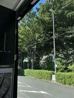 スマート道路灯