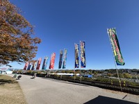 世界ラリー選手権(WRC)ラリージャパン2024