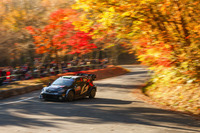 世界ラリー選手権(WRC)ラリージャパン2024