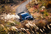 世界ラリー選手権(WRC)ラリージャパン2024