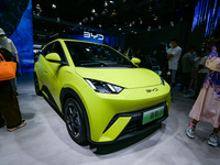 BYDシーガル