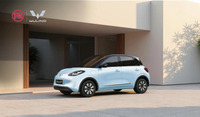 TQ WULINGブランドの第一弾としてマレーシアに投入されるコンパクトで手頃な価格のEV「Bingo」