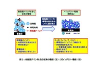 樹脂製バインダを含む従来の電極（左）とバインダフリー電極（右）