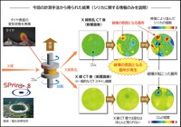 ゴムの破壊に繋がる内部構造の分布の違いを可視化