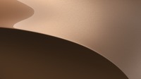 米州のキーカラー:AUXETIC NEUTRAL(オーセチック ニュートラル)