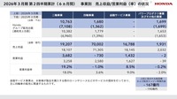 事業別売上収益/営業利益（率）の状況