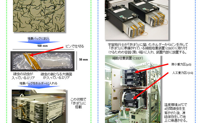 CERISE宇宙実験の概要